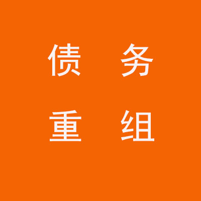 卫东个人债务重组优化